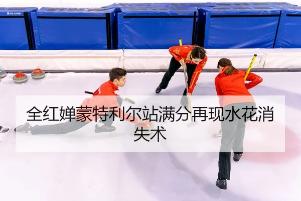 quan-hong-chan-meng-te-li-er-zhan-man-fen-zai-xian-shui-hua-xiao-shi-shu-3-571.jpg