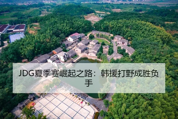 JDG夏季赛崛起之路：韩援打野成胜负手