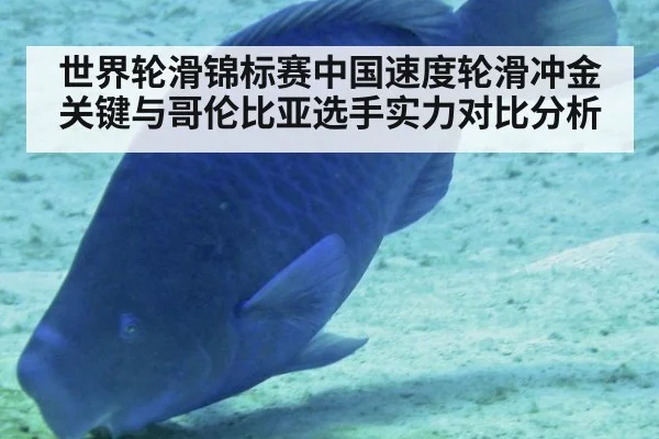 世界轮滑锦标赛中国速度轮滑冲金关键与哥伦比亚选手实力对比分析
